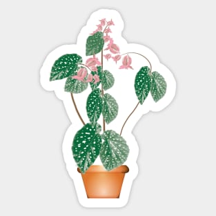 Begonia Sticker